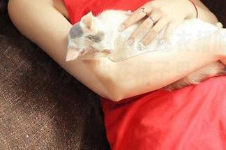 推女神 – 来瞧瞧！赵伊彤连衣裙的今日更新：我几乎以为她也在裙子里种了幻觉的种子…