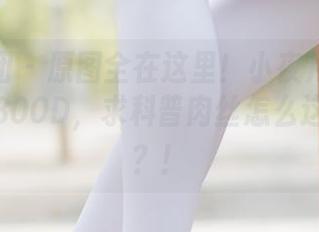森萝财团 – 原图全在这里！小夜月下001，肉丝300D，求科普肉丝怎么这么魔性？！