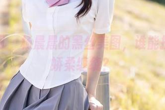 秀人网 – 杨晨晨的黑丝美图，谁能抗拒这娇柔缠绕？