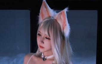 “黑白御猫”叫我看“白猫的一日”，这原图拍得像画一样，哇反正我喜欢的风格。
